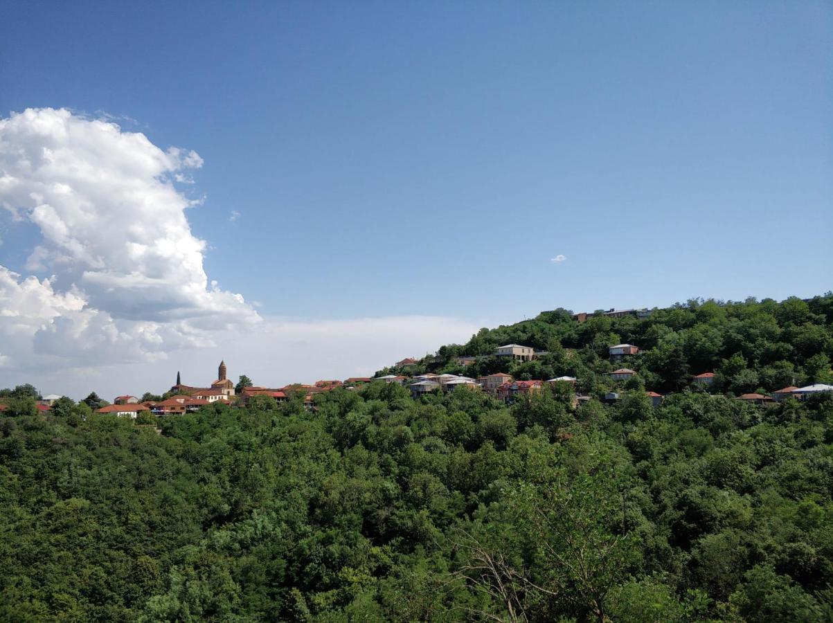 Favourite Apartman Szenaki Kültér fotó